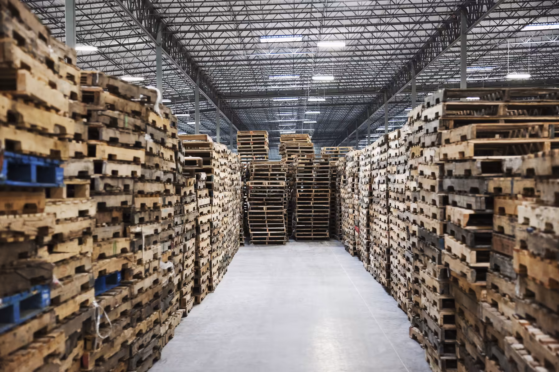 Sumner, Washington, USA,Stacked pallets in warehouse